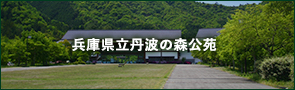 兵庫県立丹波の森公苑