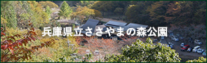 兵庫県立ささやまの森公園