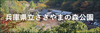 兵庫県立ささやまの森公園