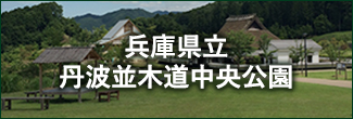 兵庫県立丹波並木道中央公園