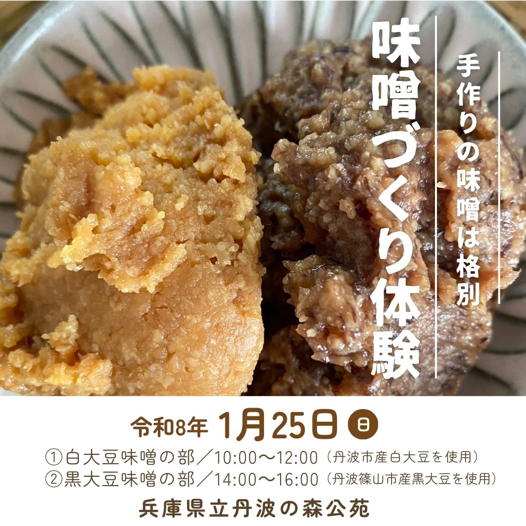 味噌づくり体験