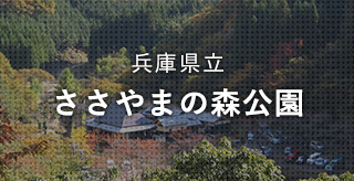 兵庫県立 ささやまの森公園