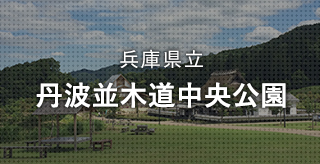 兵庫県立 丹波並木道中央公園