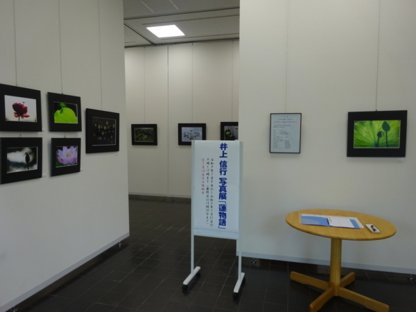 井上 信行 写真展「蓮物語」