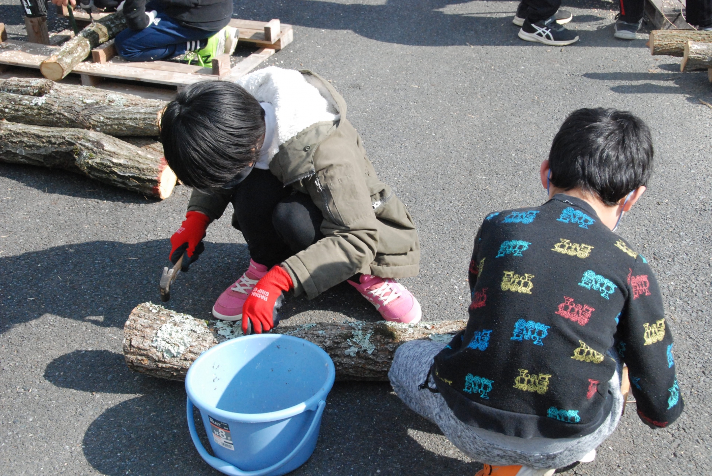 シイタケのほだ木づくり