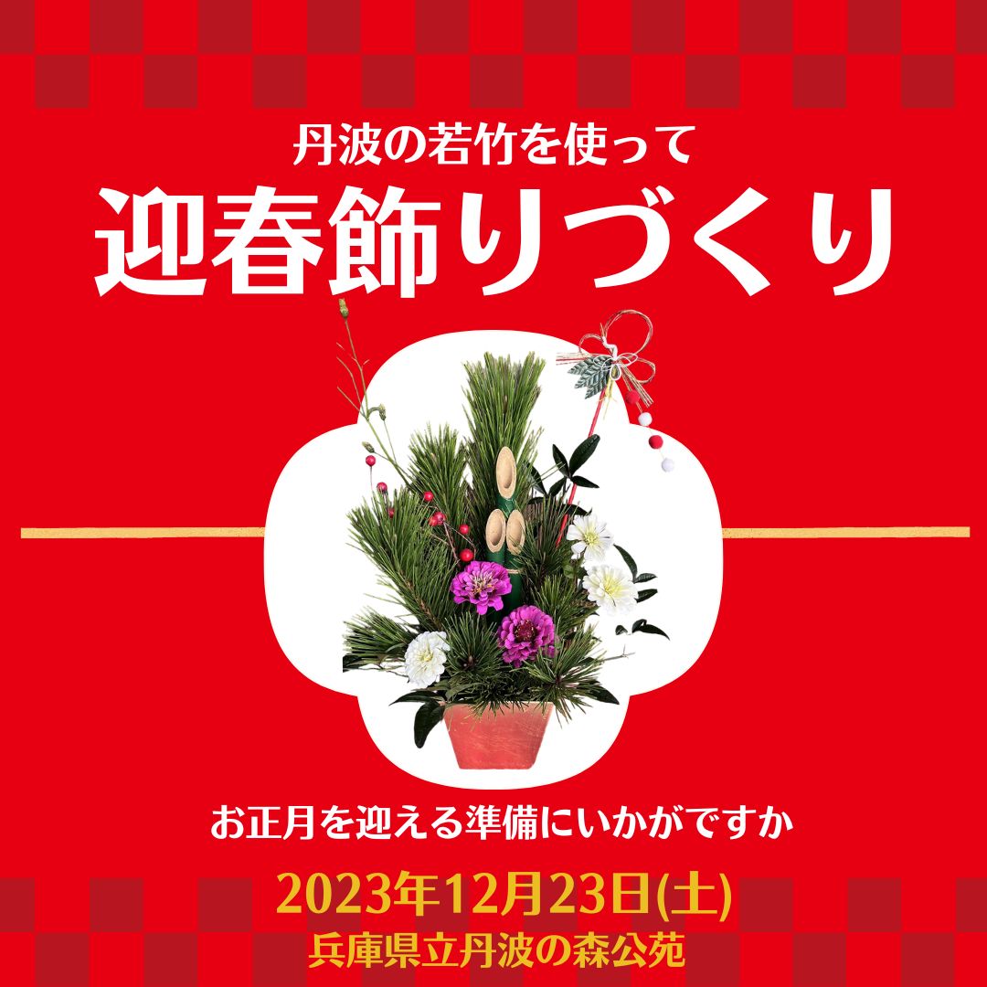 迎春飾りづくりー丹波の若松を使ってお正月の飾りを作りましょうー